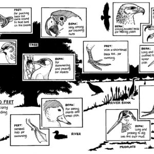 Example Black Ink Postcard