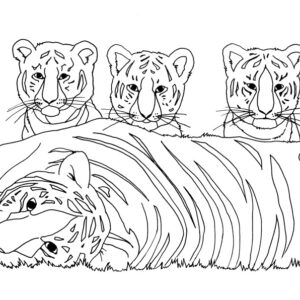 Example Your Photo Black Ink Postcard